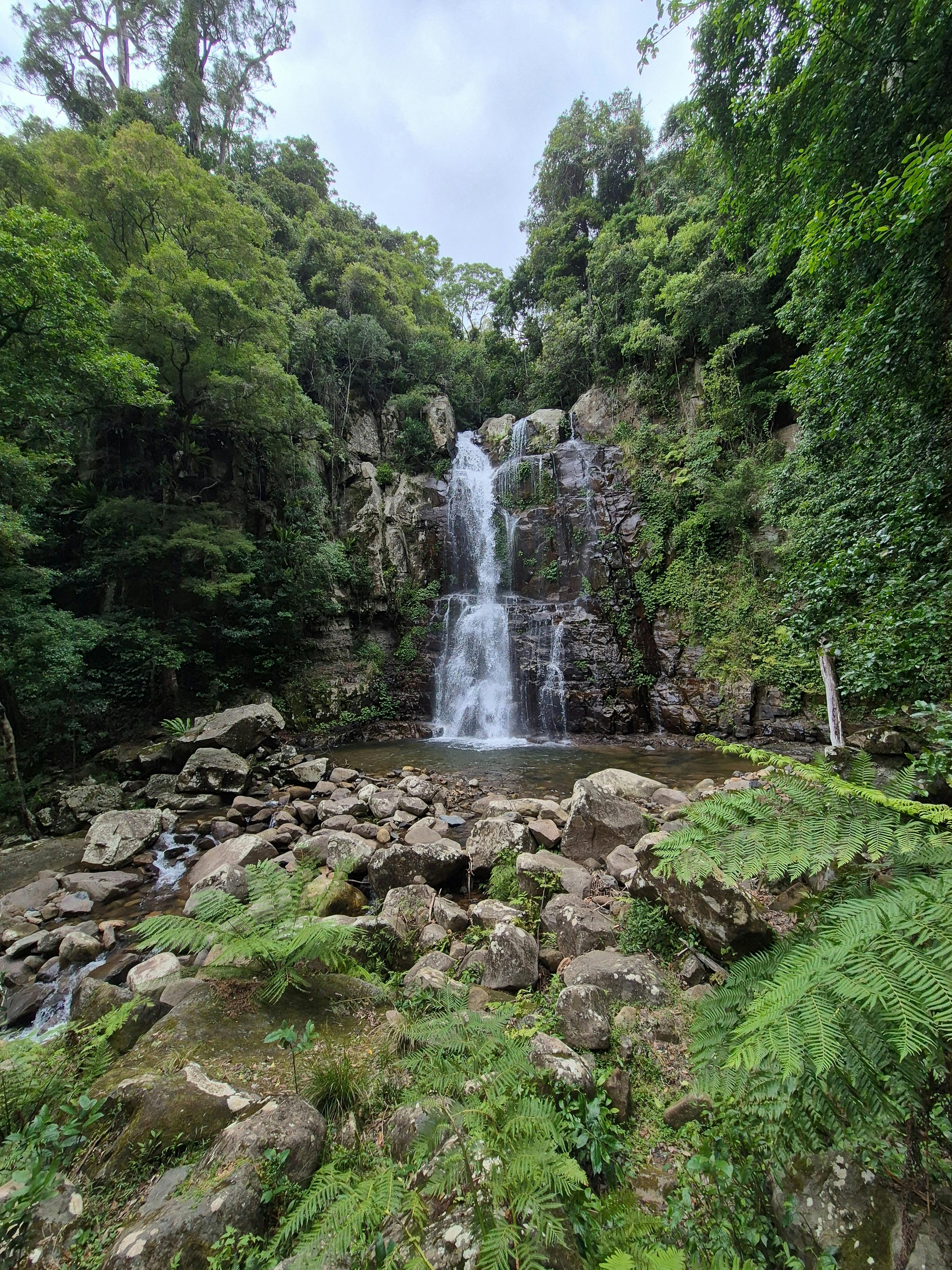Minnamurra Rainforest Waterfall