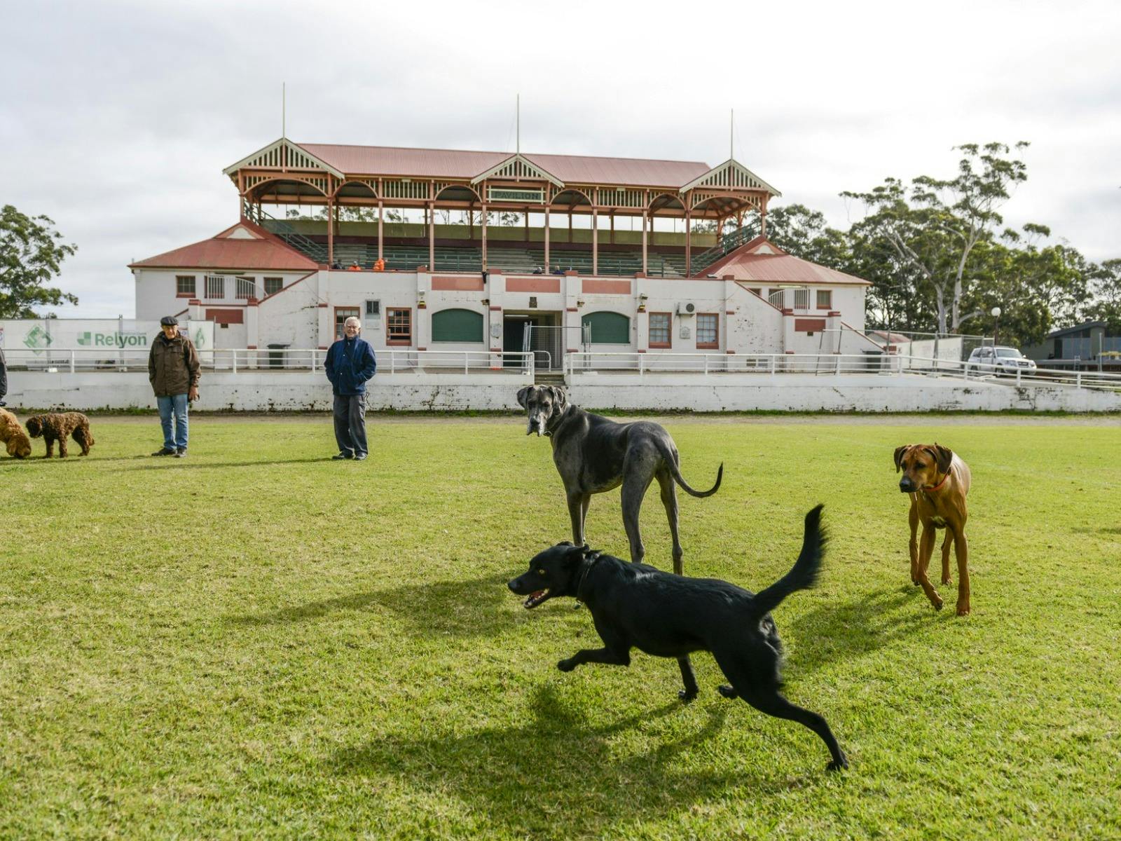 Nowra Showground and Grandstand