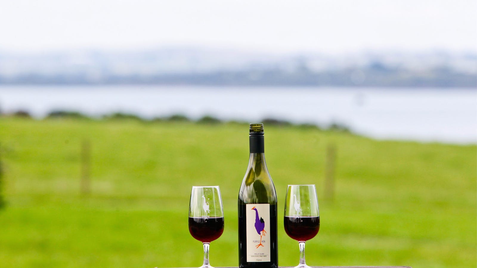 Purple Hen Winery