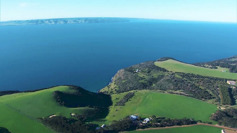 Kangaroo Island Dolphin Run One Hour and 45 Minute Tour
