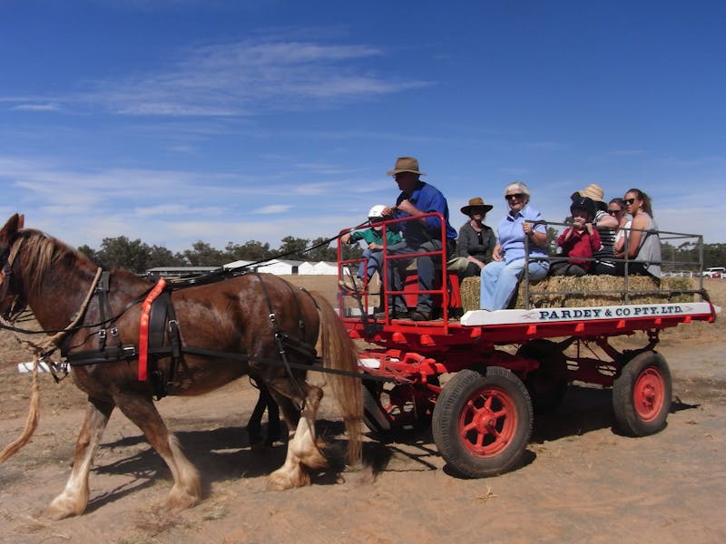Horsepower Ariah Park Sydney, Australia Official Travel