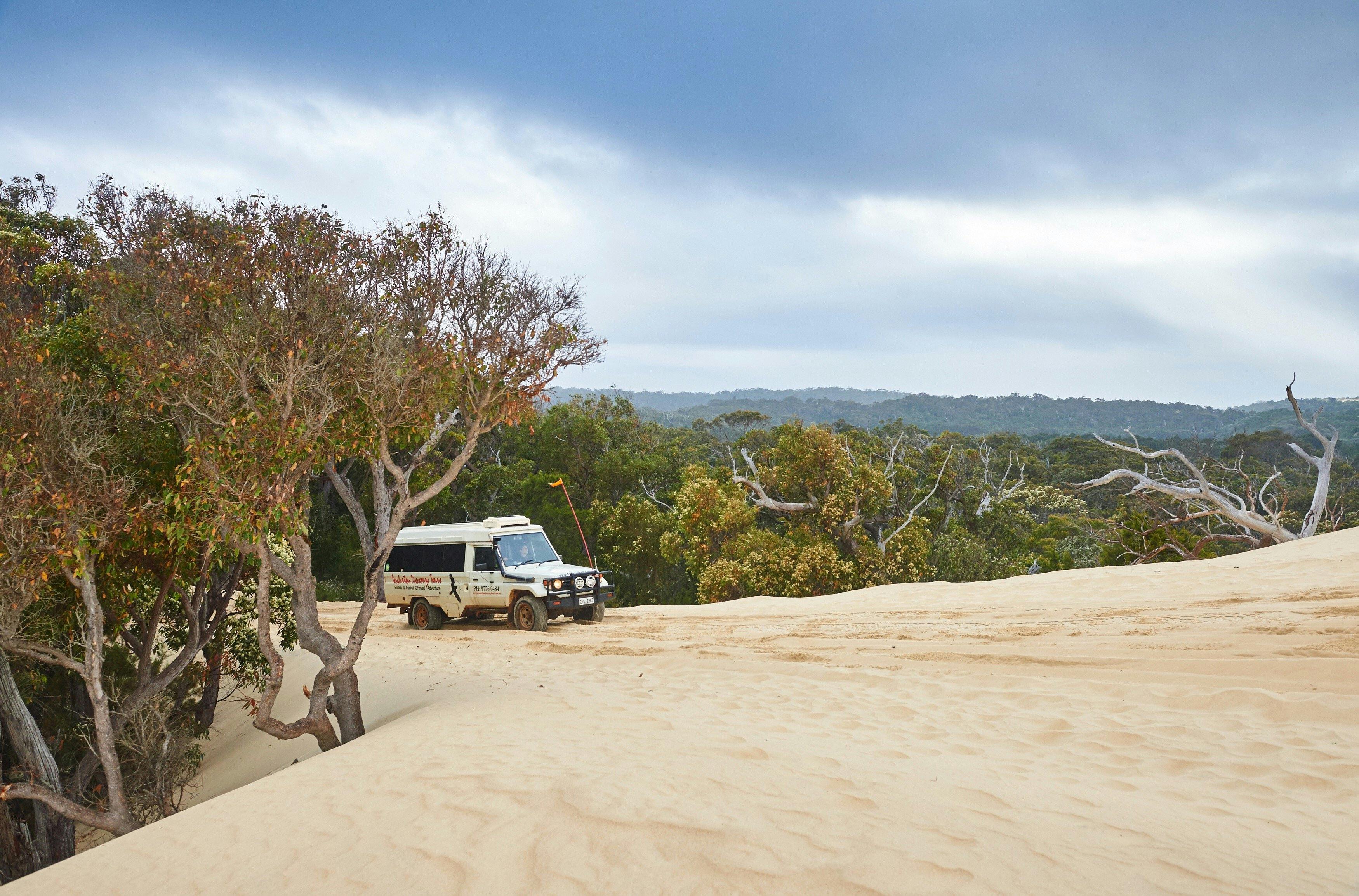 Pemberton Discovery Tours, Pemberton, Western Australia