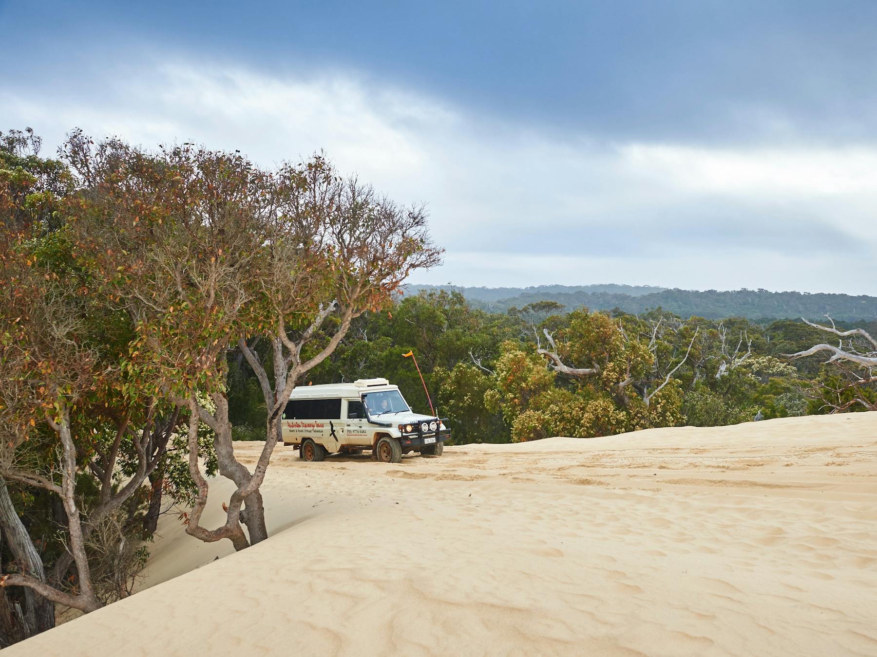 Pemberton Discovery Tours, Pemberton, Western Australia