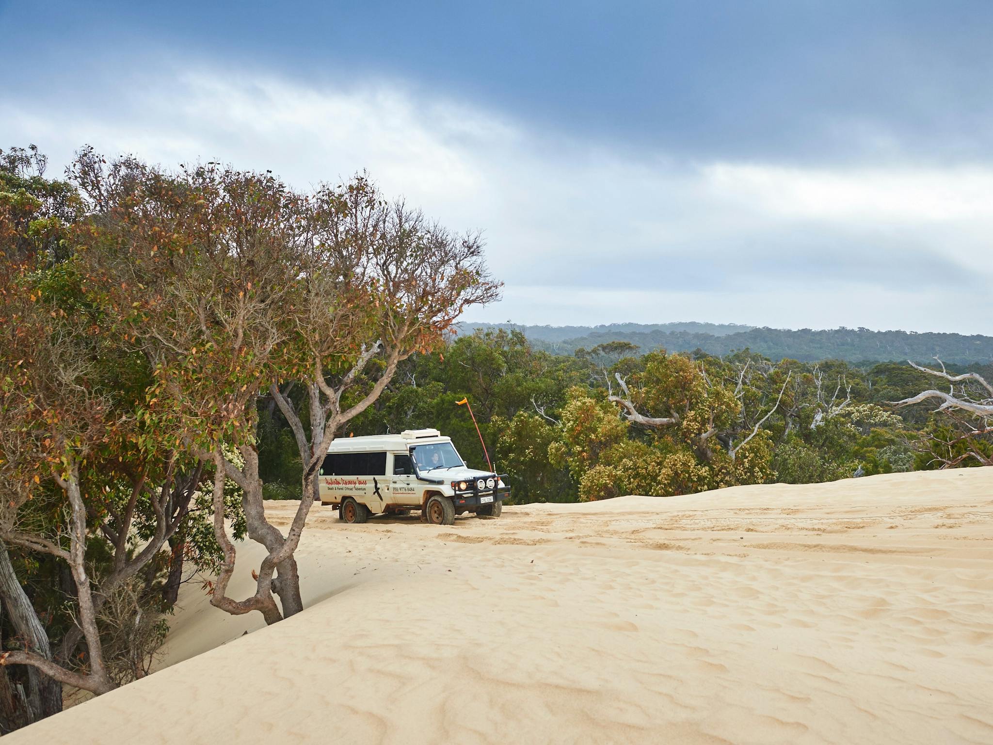 Pemberton Discovery Tours, Pemberton, Western Australia