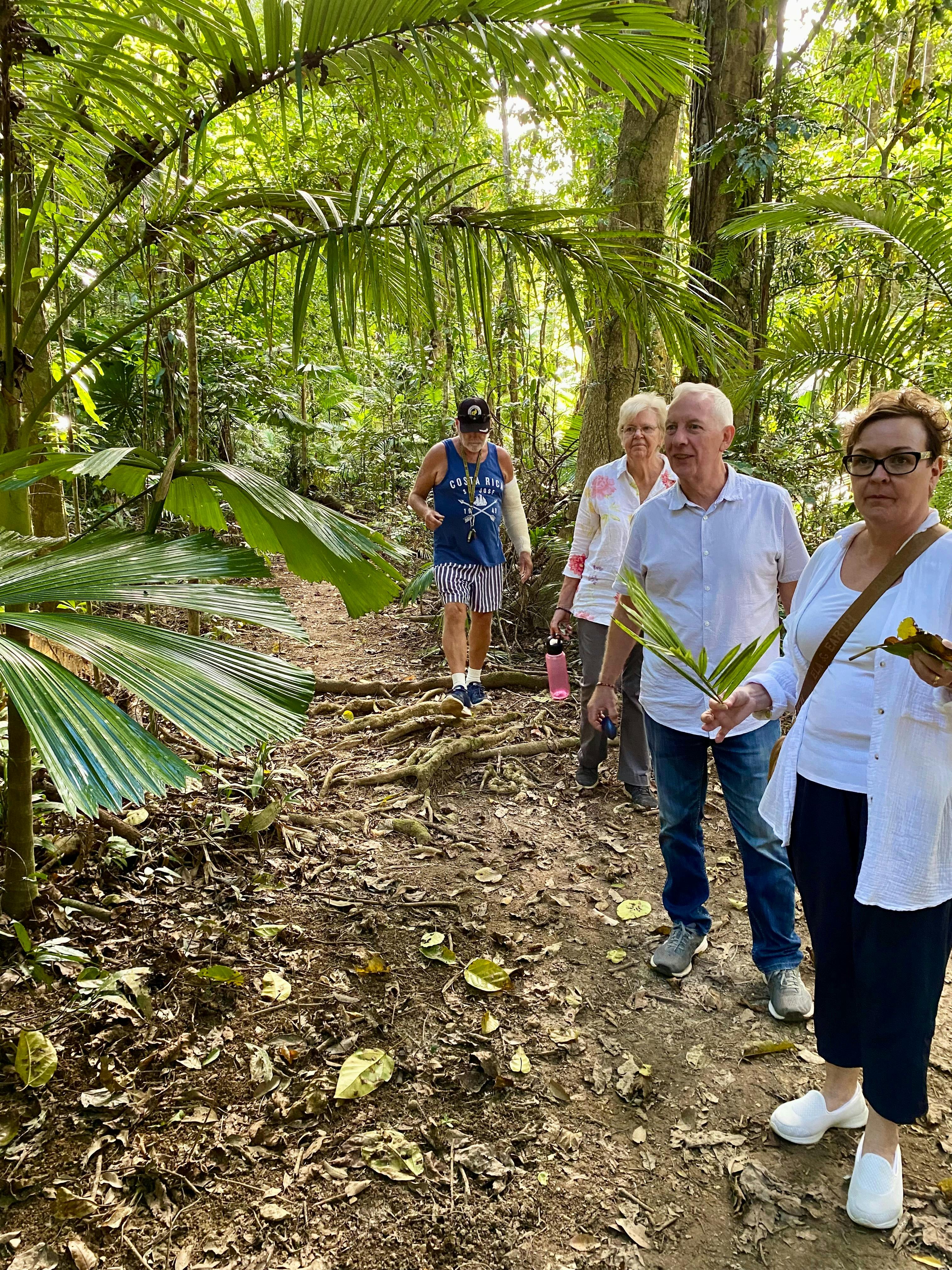 Rainforest Connections Walk