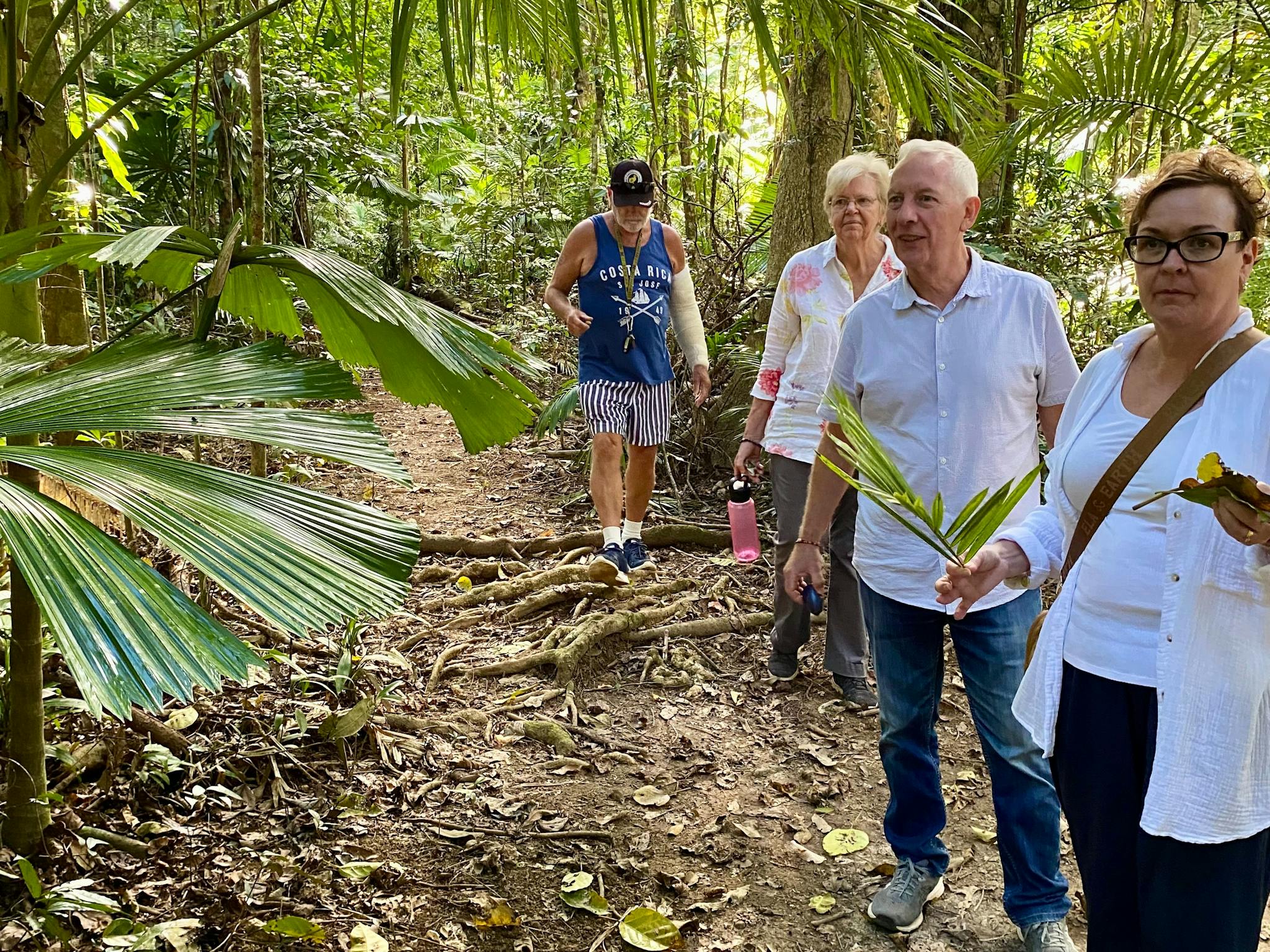 Four people on rainforest walking track surrounded by green trees Four people on rainforest walking track surrounded by green trees