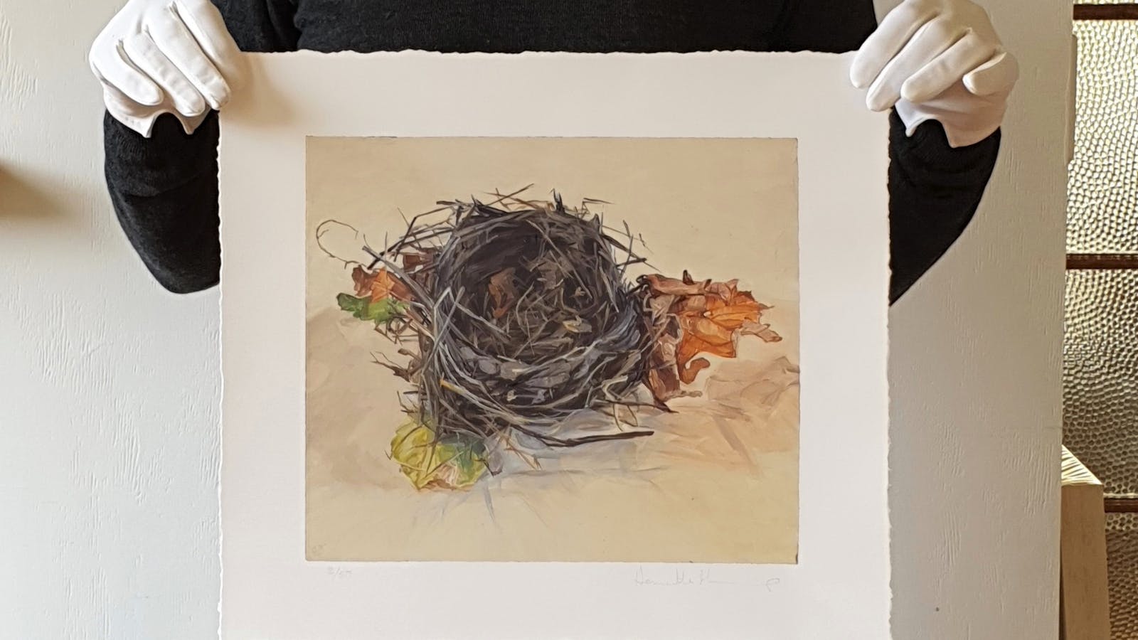 Vine Leaf Nest limited edition Art Print by Henrietta Manning