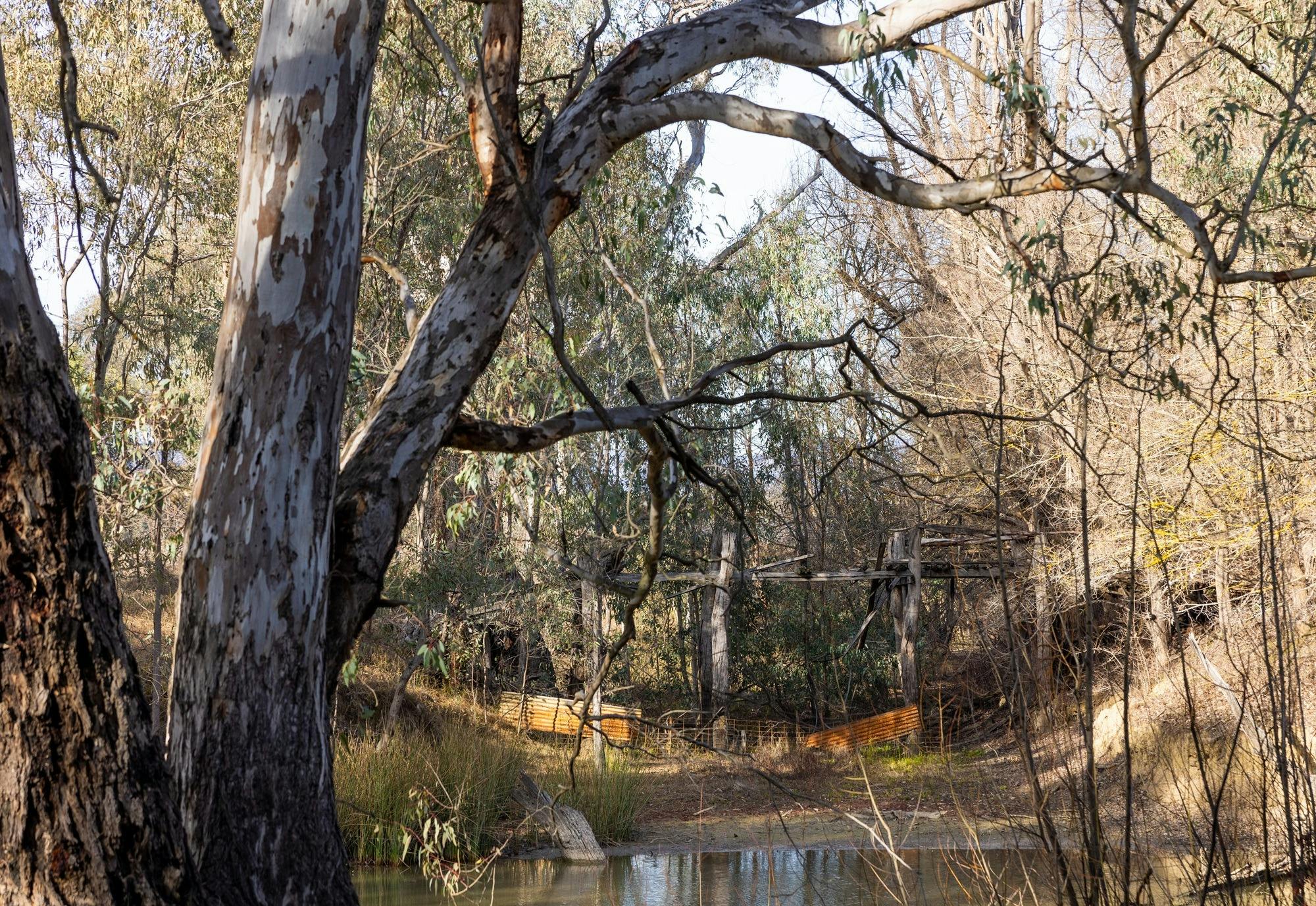 Crossing Place Trail