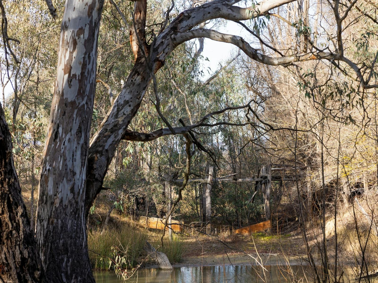 Crossing Place Trail