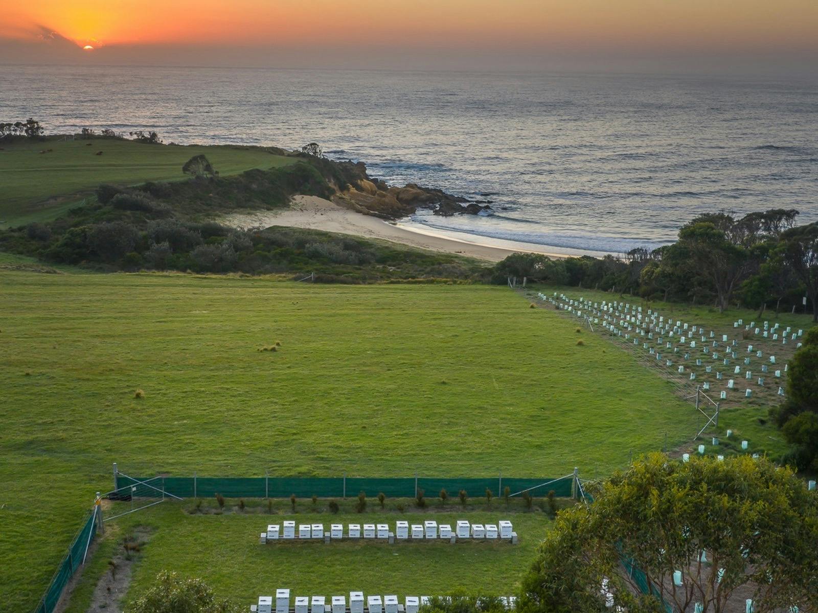 Sunrise_farm_hives