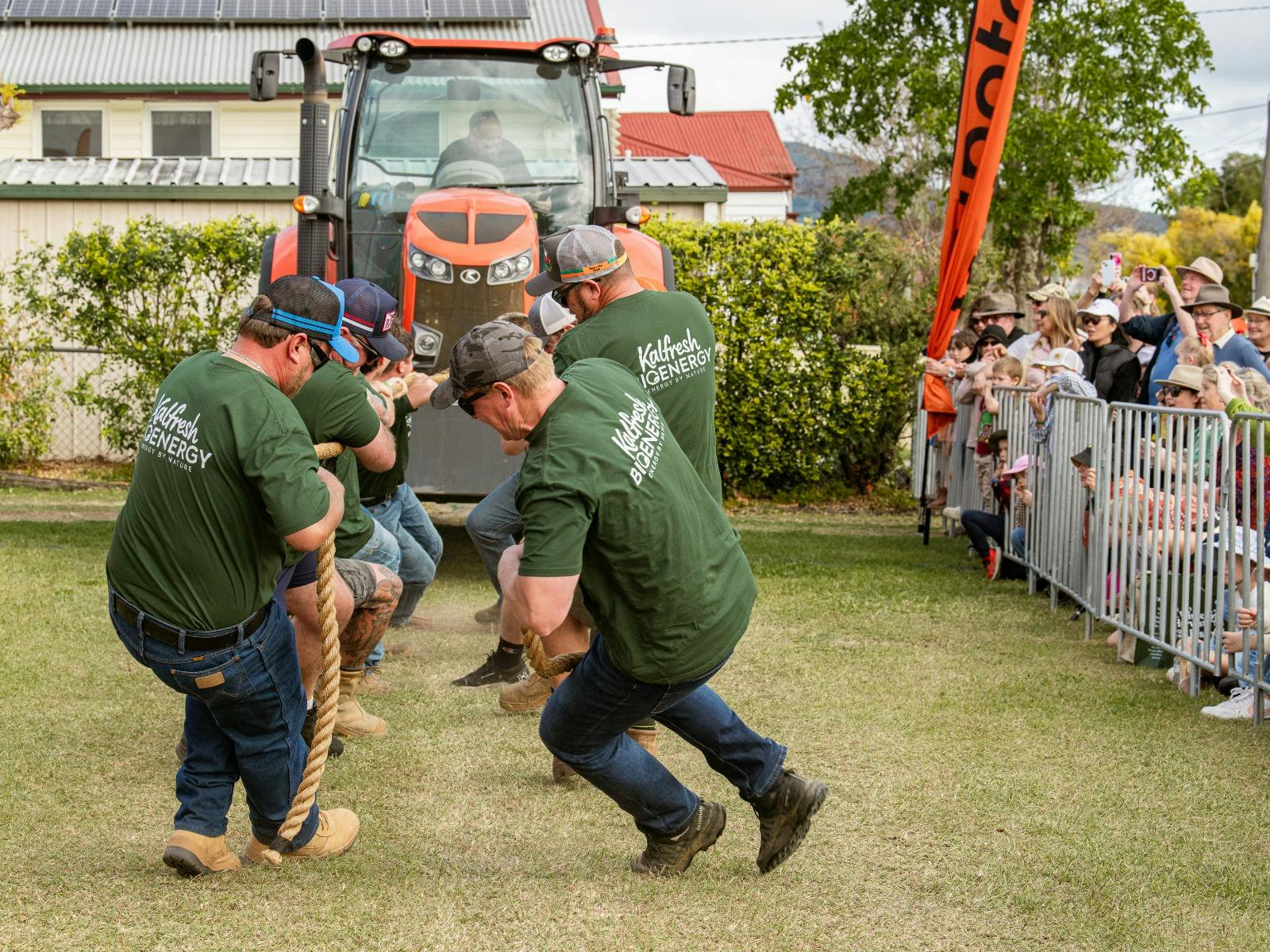 Kalfresh team pulling a tractor at the Winter Harvest Festival
