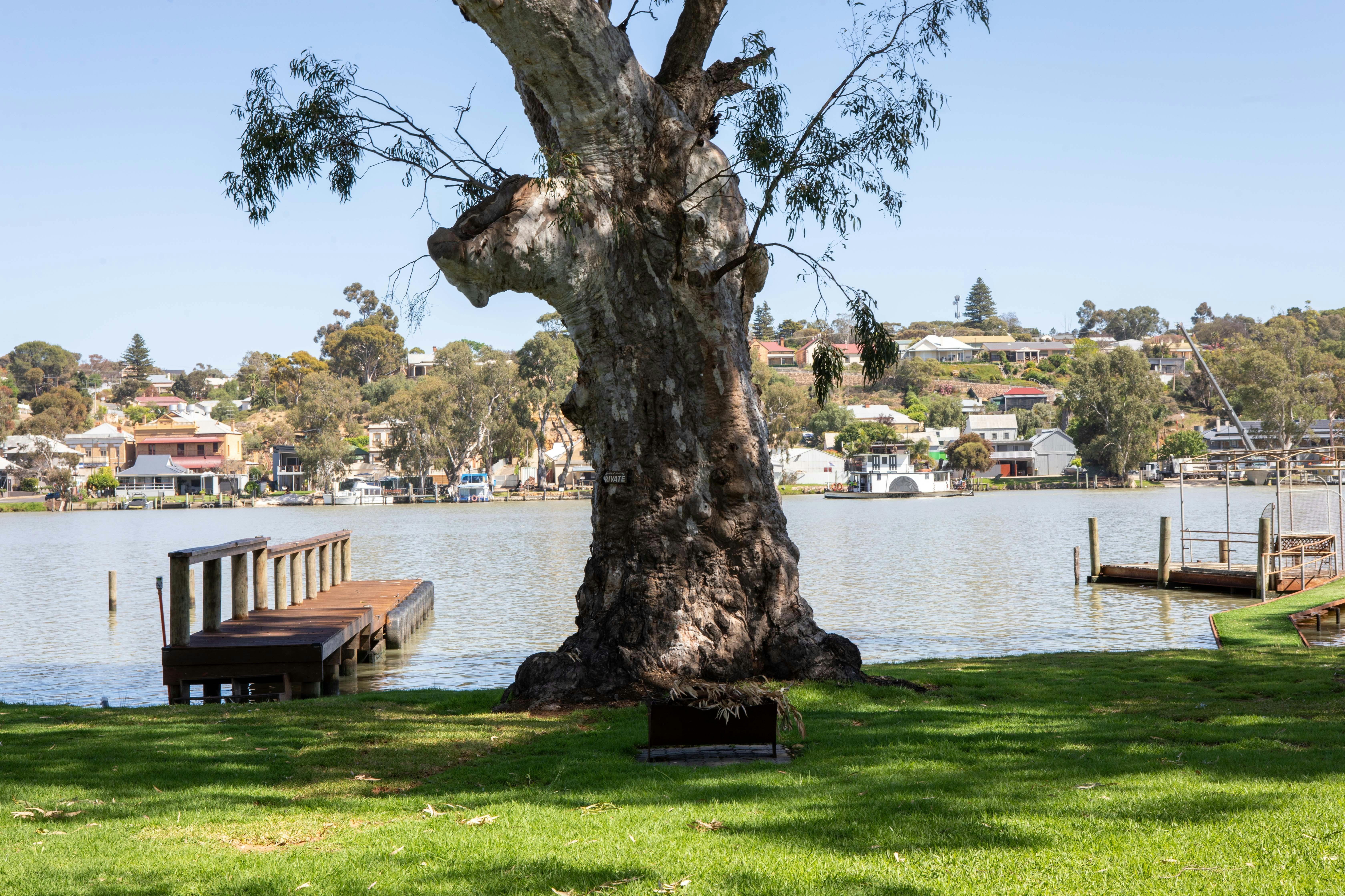 private lawn and jetty