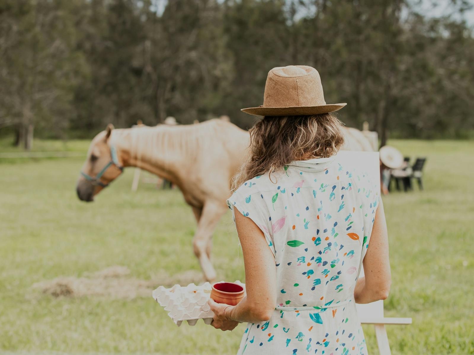 A woman standing next to a horse in a paddock