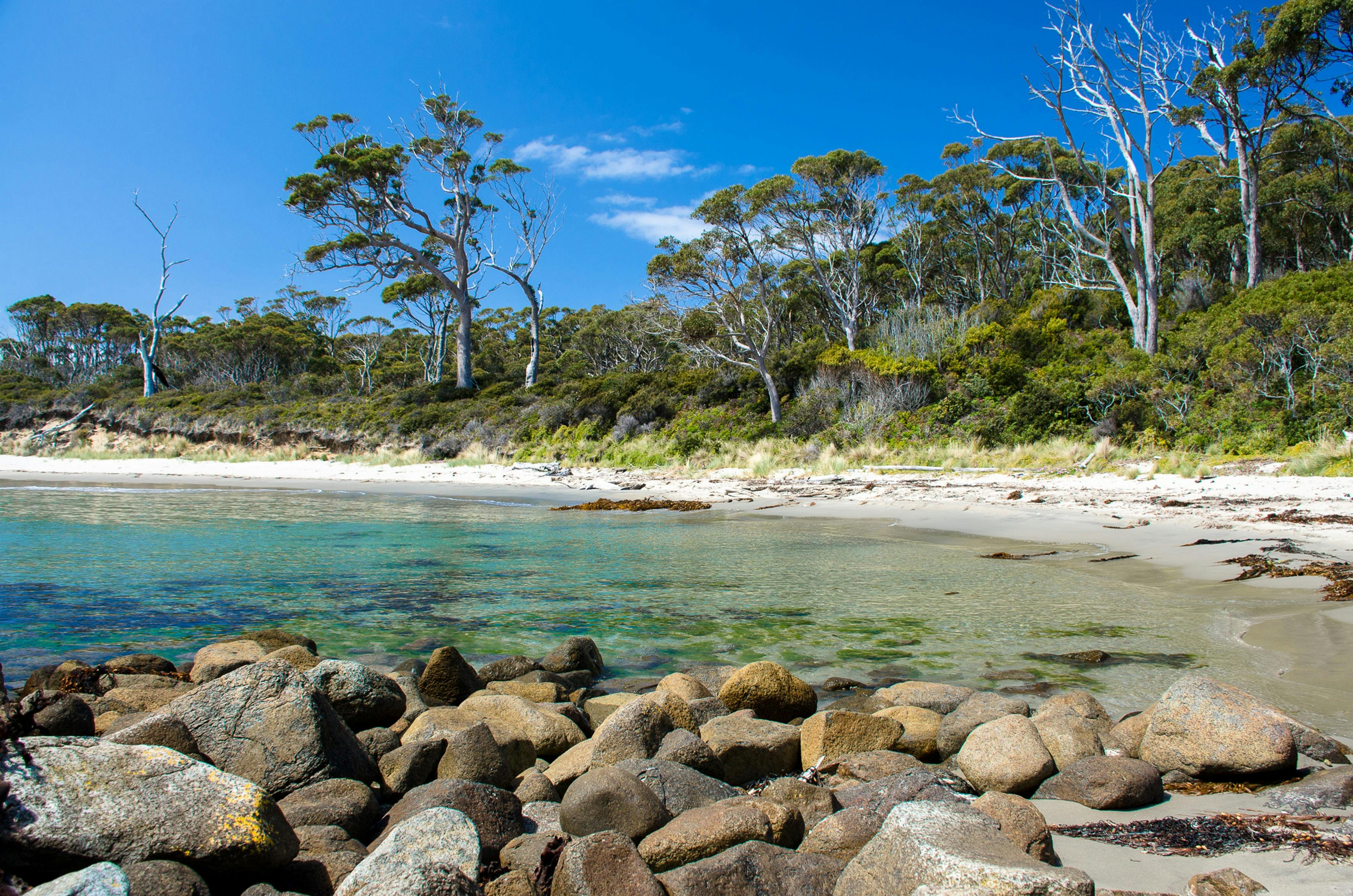 A feeling of togetherness on the Bruny Island Walk by Life's Ad Adventure