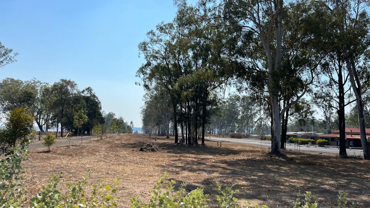 Bush Food Garden
