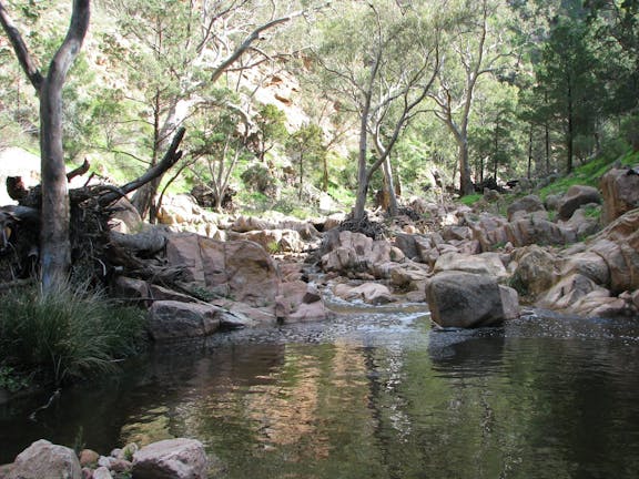 Telowie Gorge Conservation Park