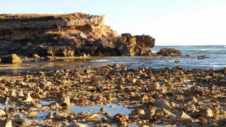 Mt Gambier Full Day Sightseeing Tour