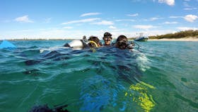 Gold Coast Scuba Divers