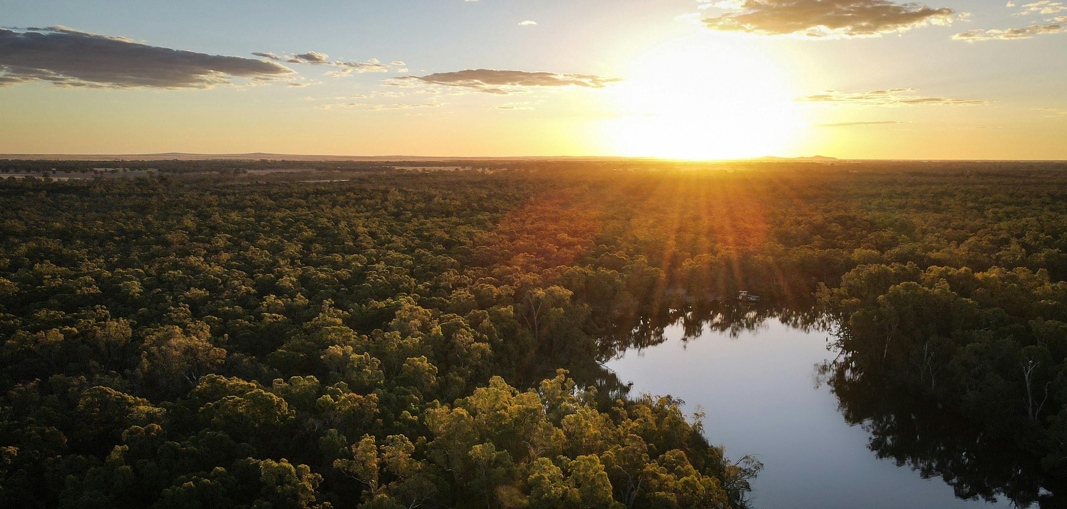 a sunset drone shot of the murray river