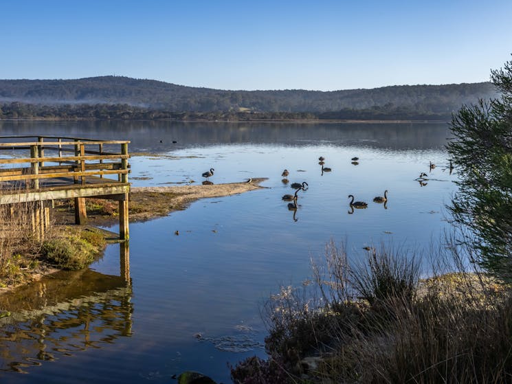 Lake Curalo Boardwalk, Eden, walks, boardwalk, lagoon, Sapphire Coast, South Coast, beach walks