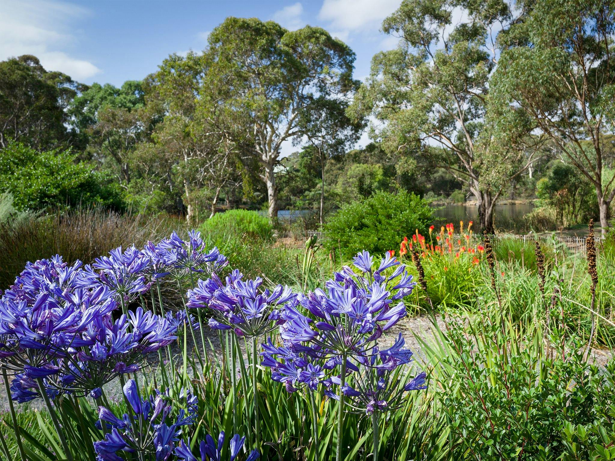 Wittunga Botanic Garden