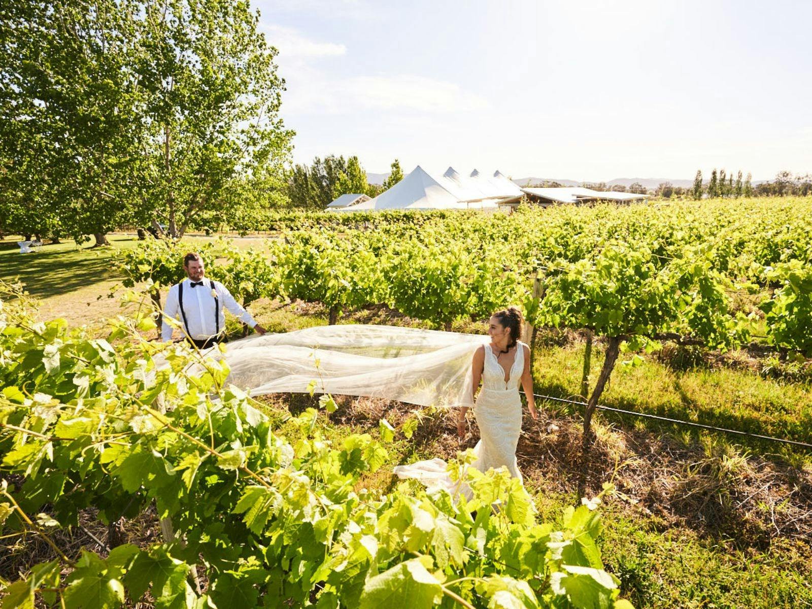 The Vinegrove - couple in the vines