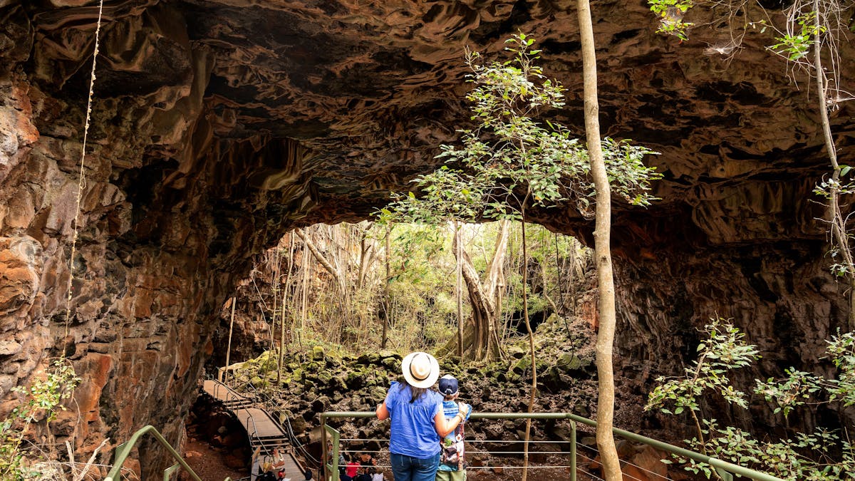 Undara Lava Tube Tours Undara Lava Tube Tours
