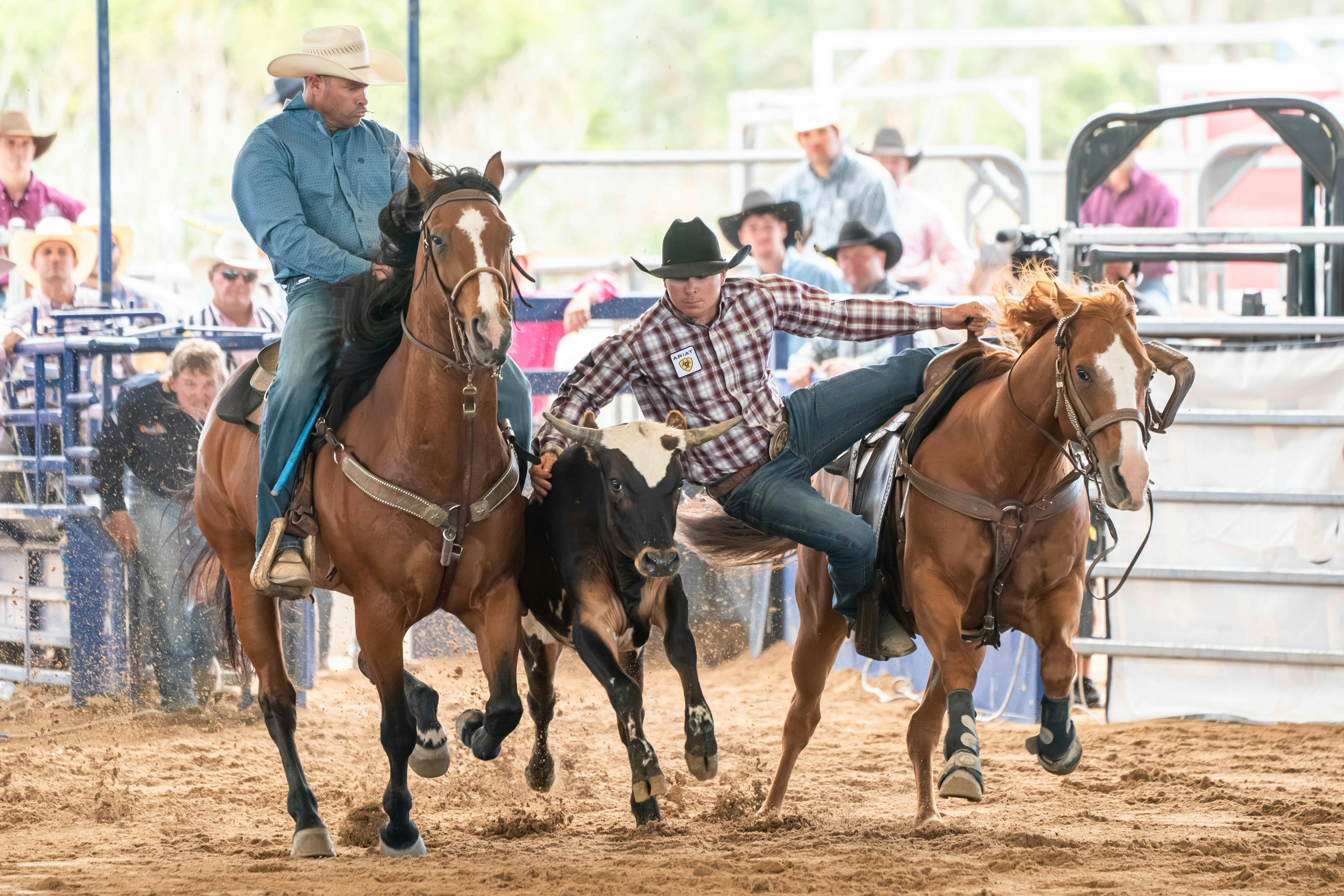 Rodeo Steer Wrestling