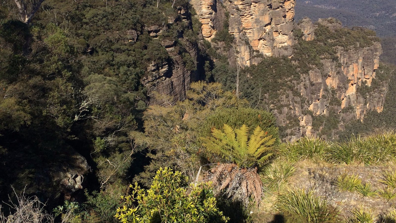 Three Sisters