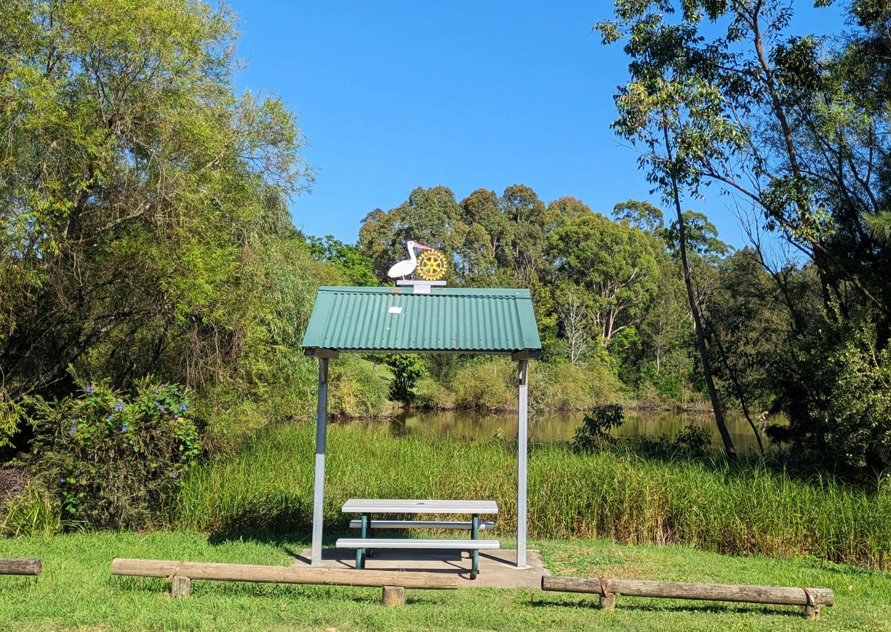 パターソンのペリカンズ