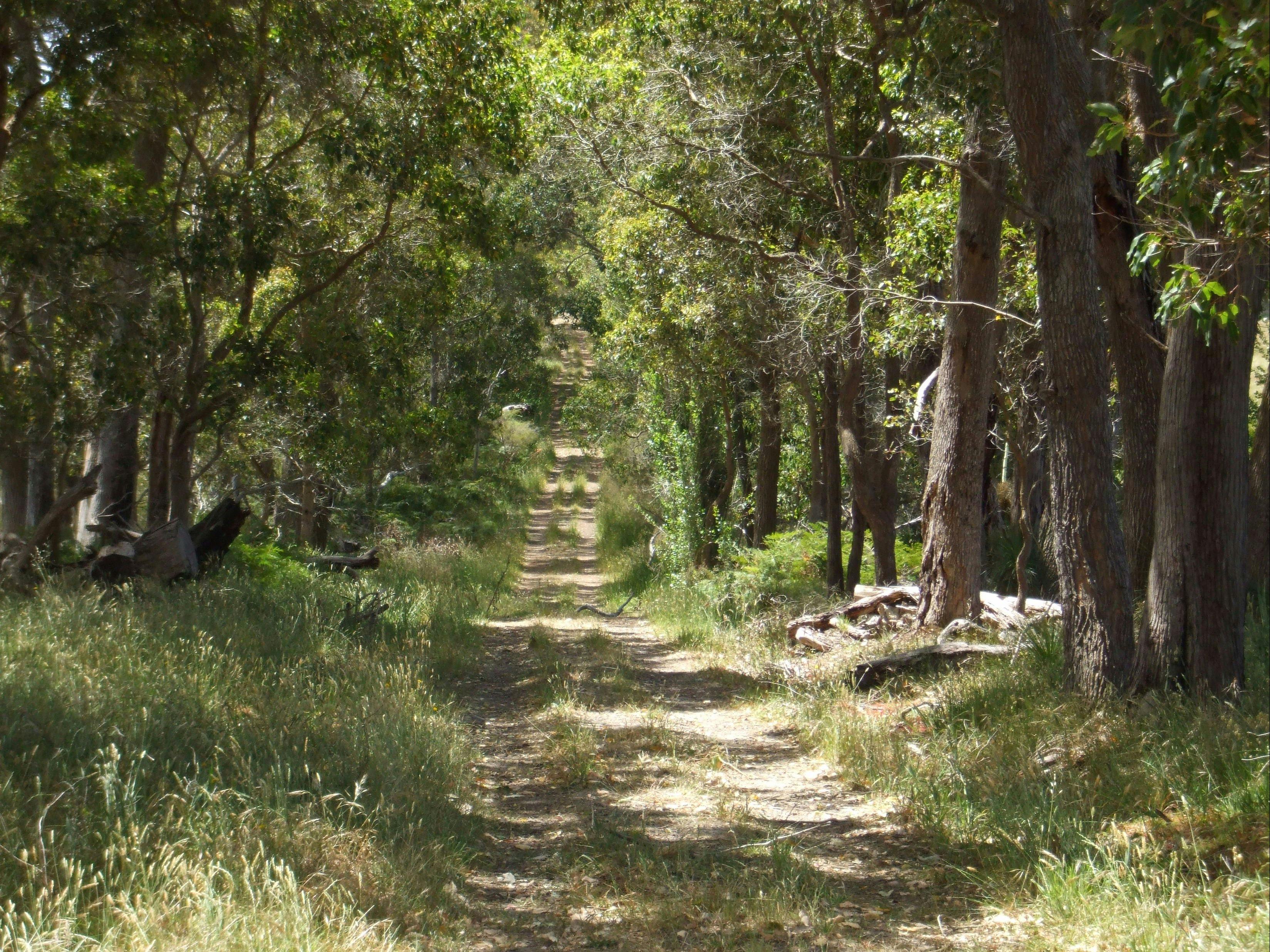 The Country lane Tour