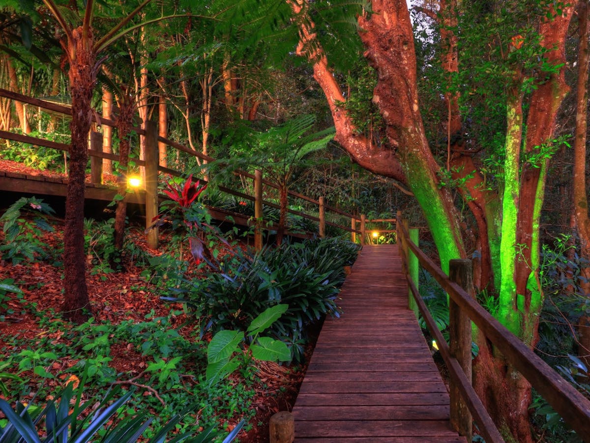 The Falls Montville Queensland