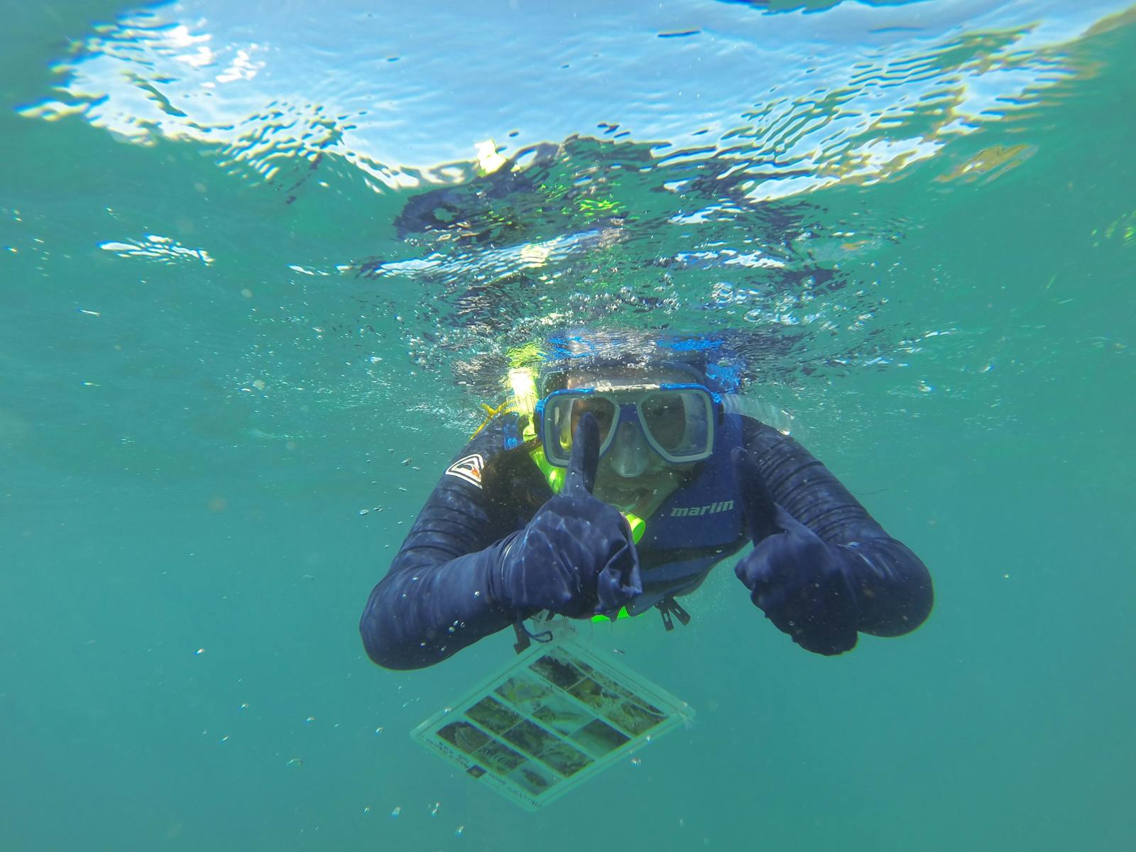 Great Barrier Reef geography camps