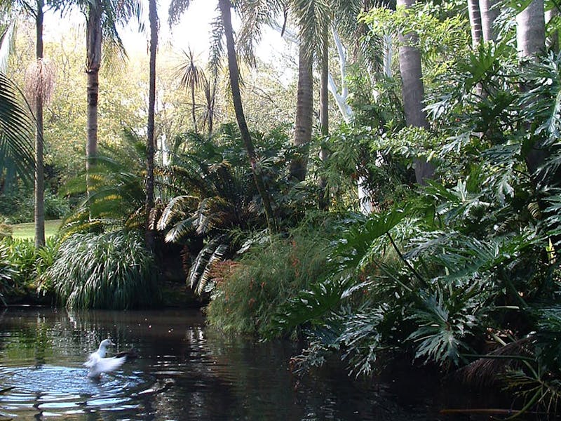 EG Waterhouse National Camellia Gardens Sydney, Australia Official Travel & EG Waterhouse National Camellia Gardens Sydney, Australia Official Travel &