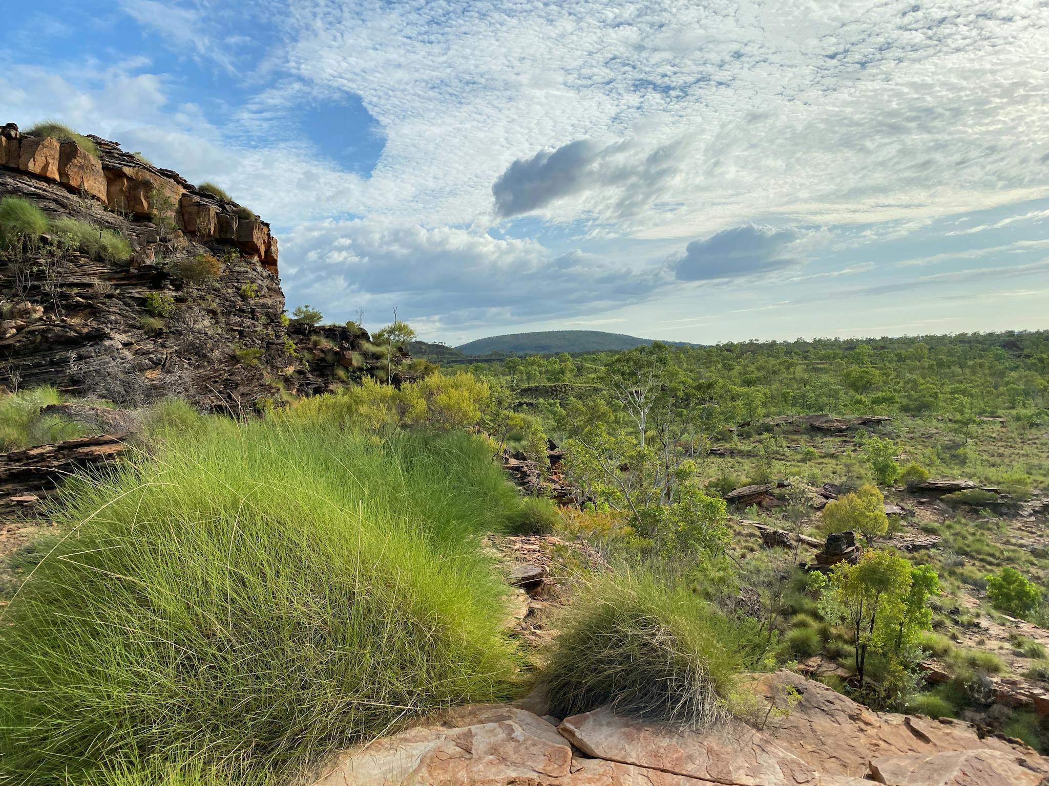 View over landscape of small green shrubs and large, layered rock wall.