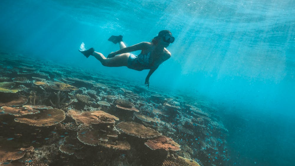 Pro Dive Magnetic Island