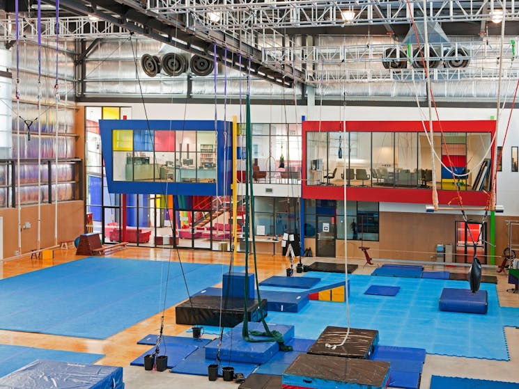 Interior of training floor at Flying Fruit Fly Circus