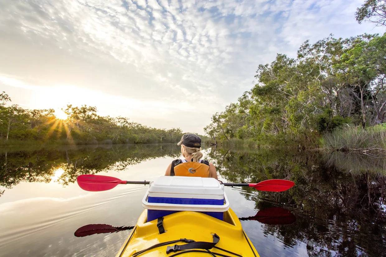 Noosa Everglades One Day Guided Kayak Tour