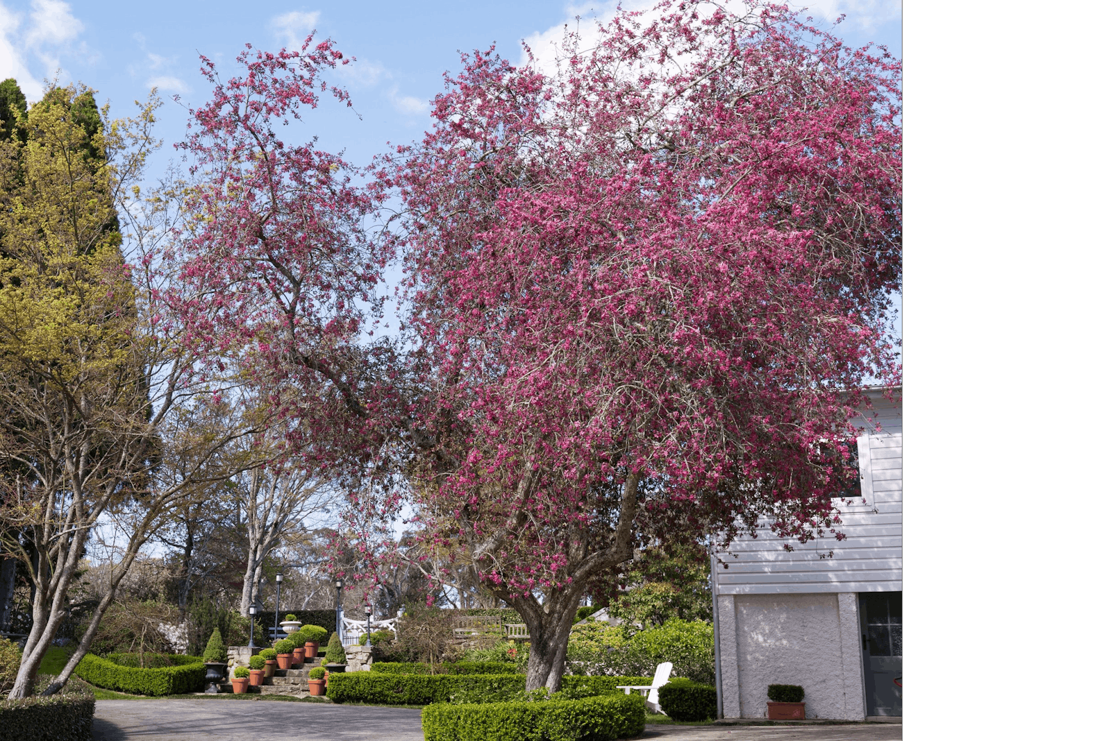 Image for Leura Gardens Festival - Cancelled