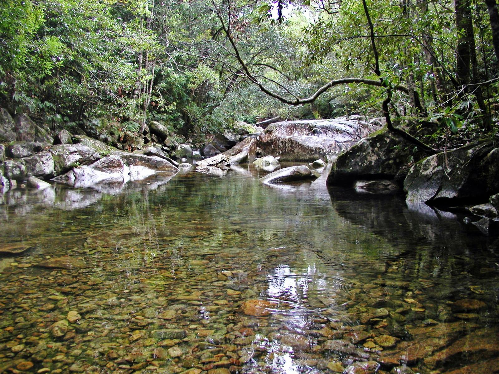Orara River