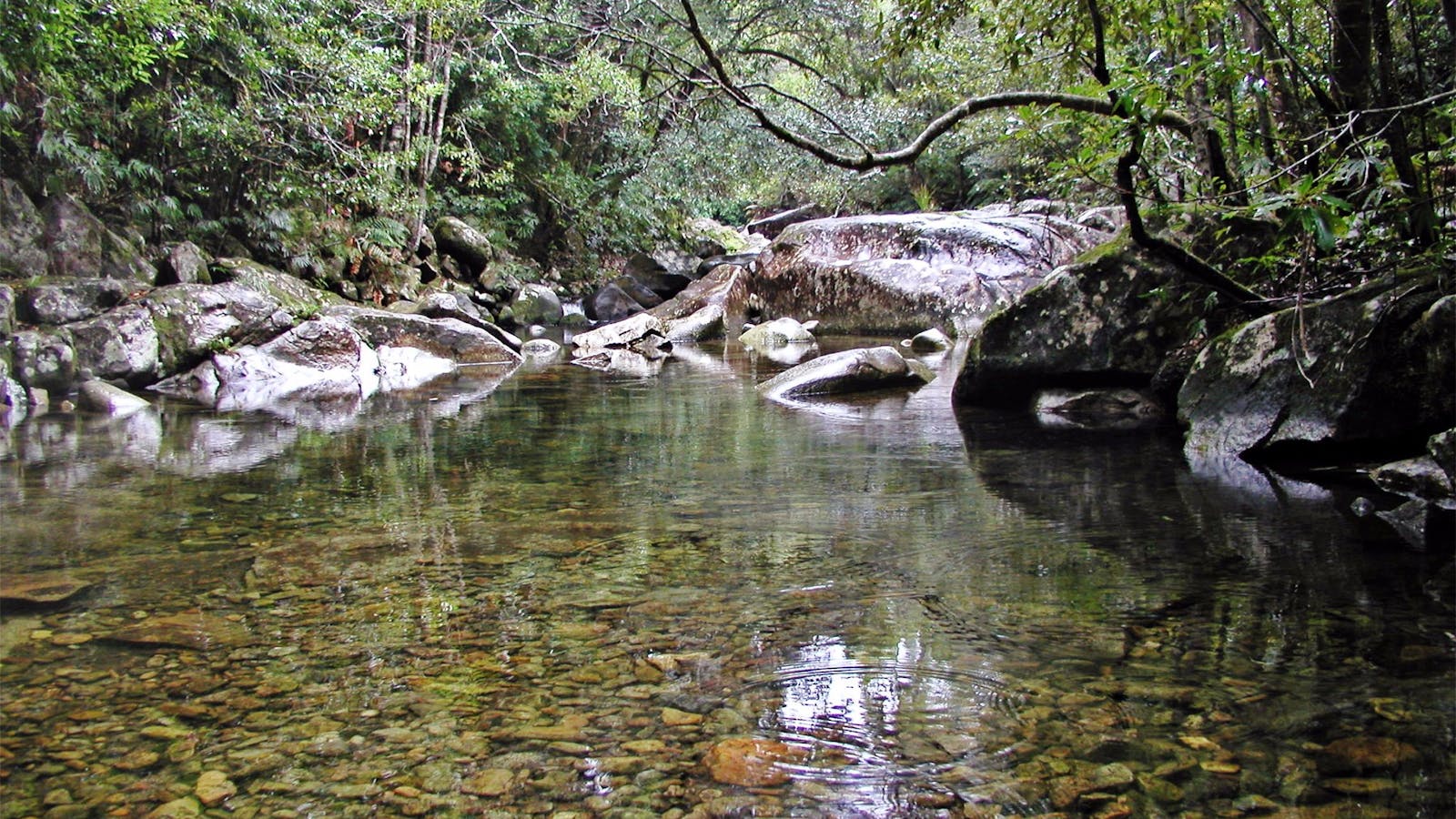 Orara River