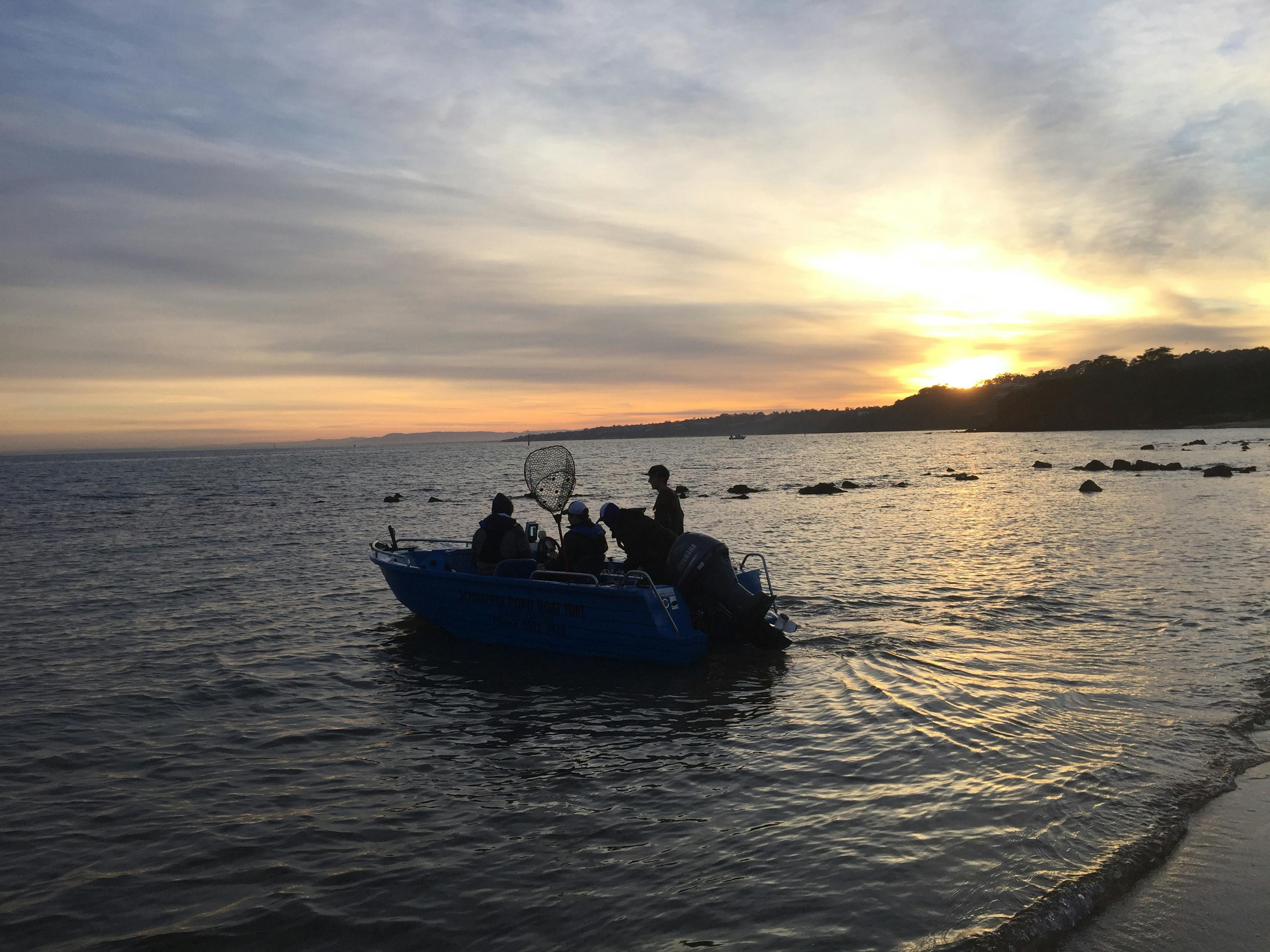 go on an early morning fishing trip on port phillip bay Mornington