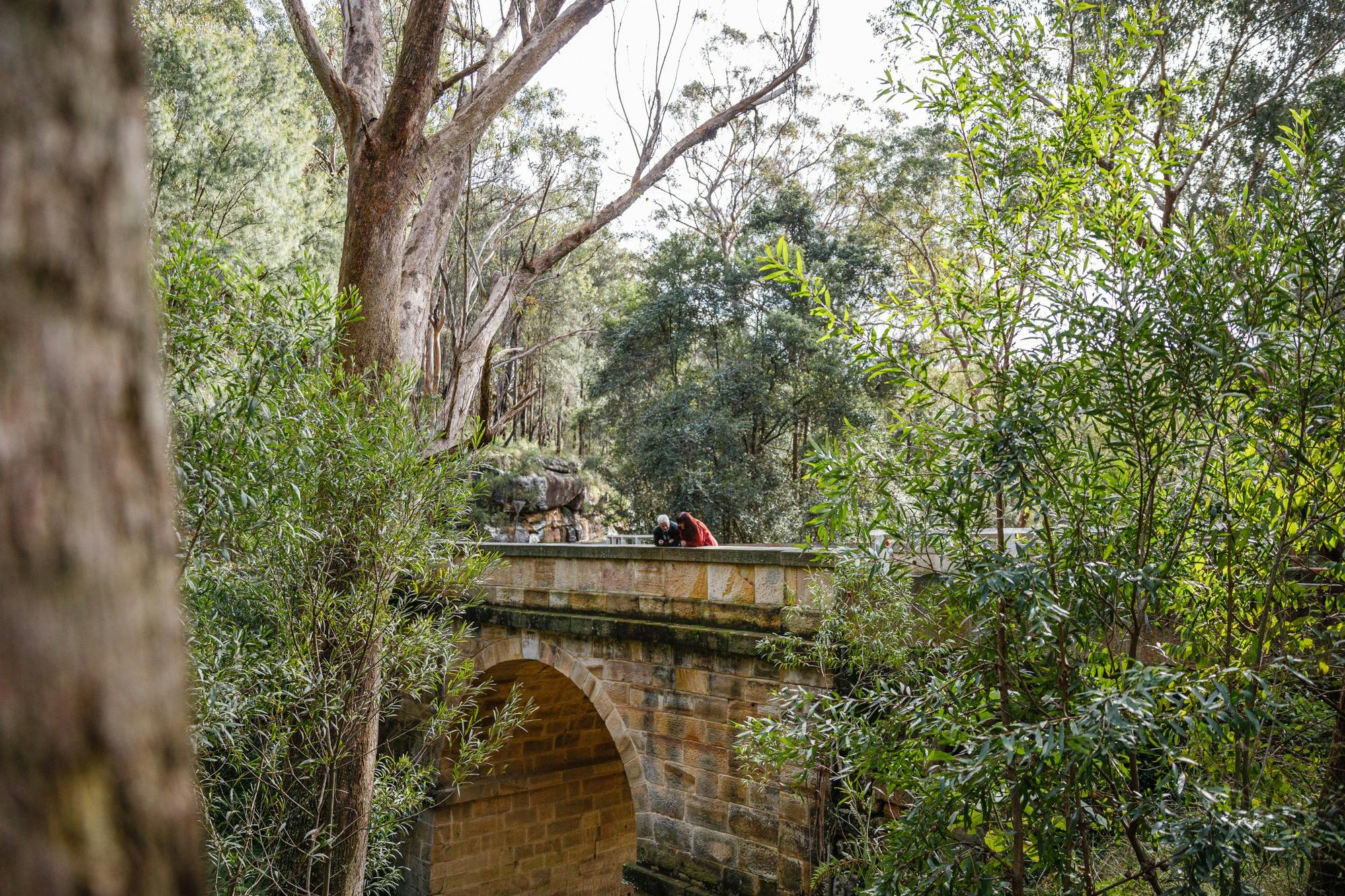 Top View of the Lennox Bridge