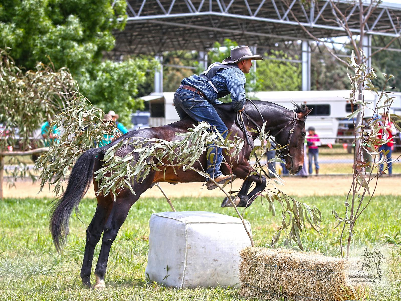 Image for Battle on the Bidgee Stockmans Challenge