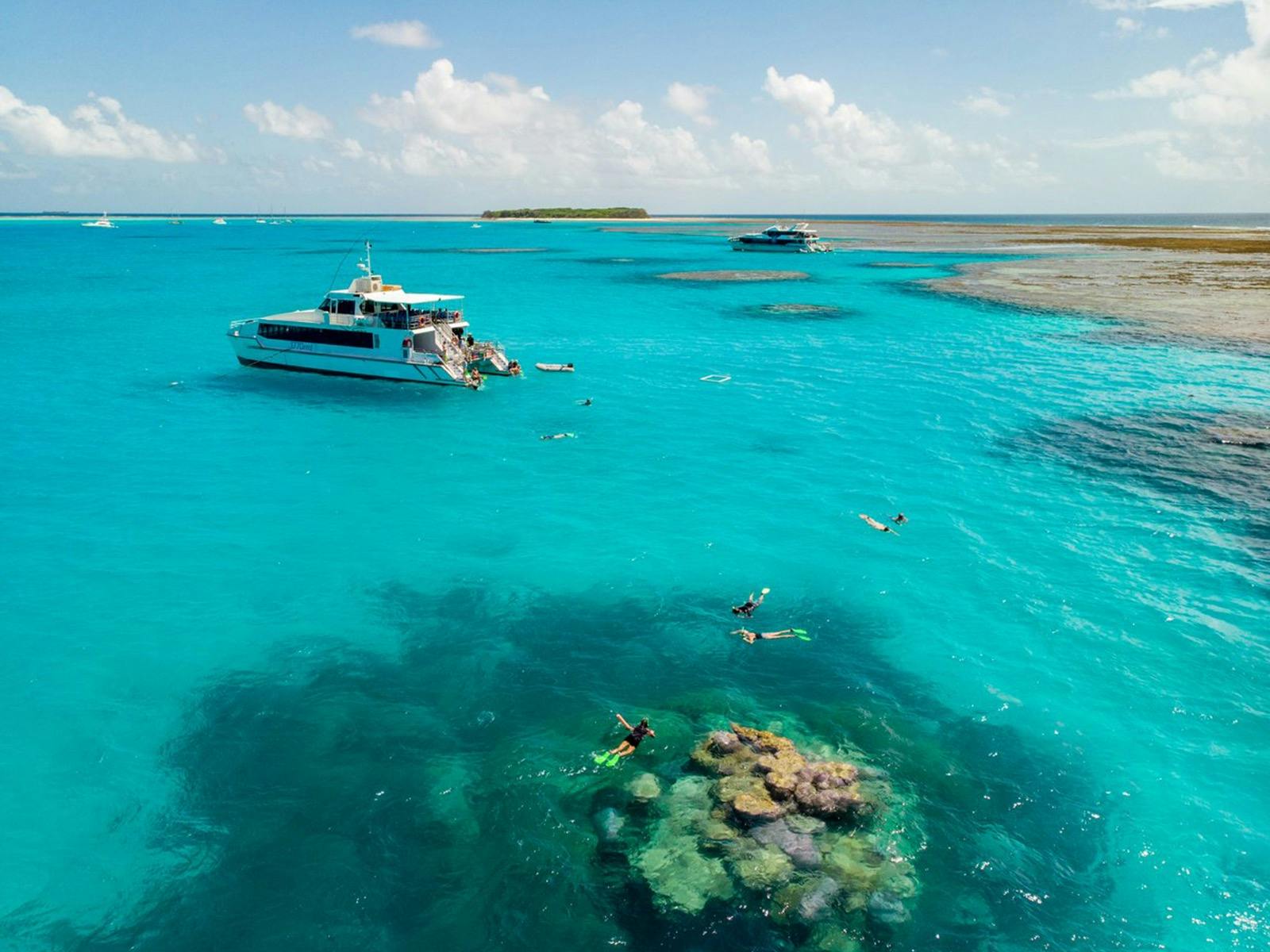 Lady Musgrave Island Destinationinformation Queensland