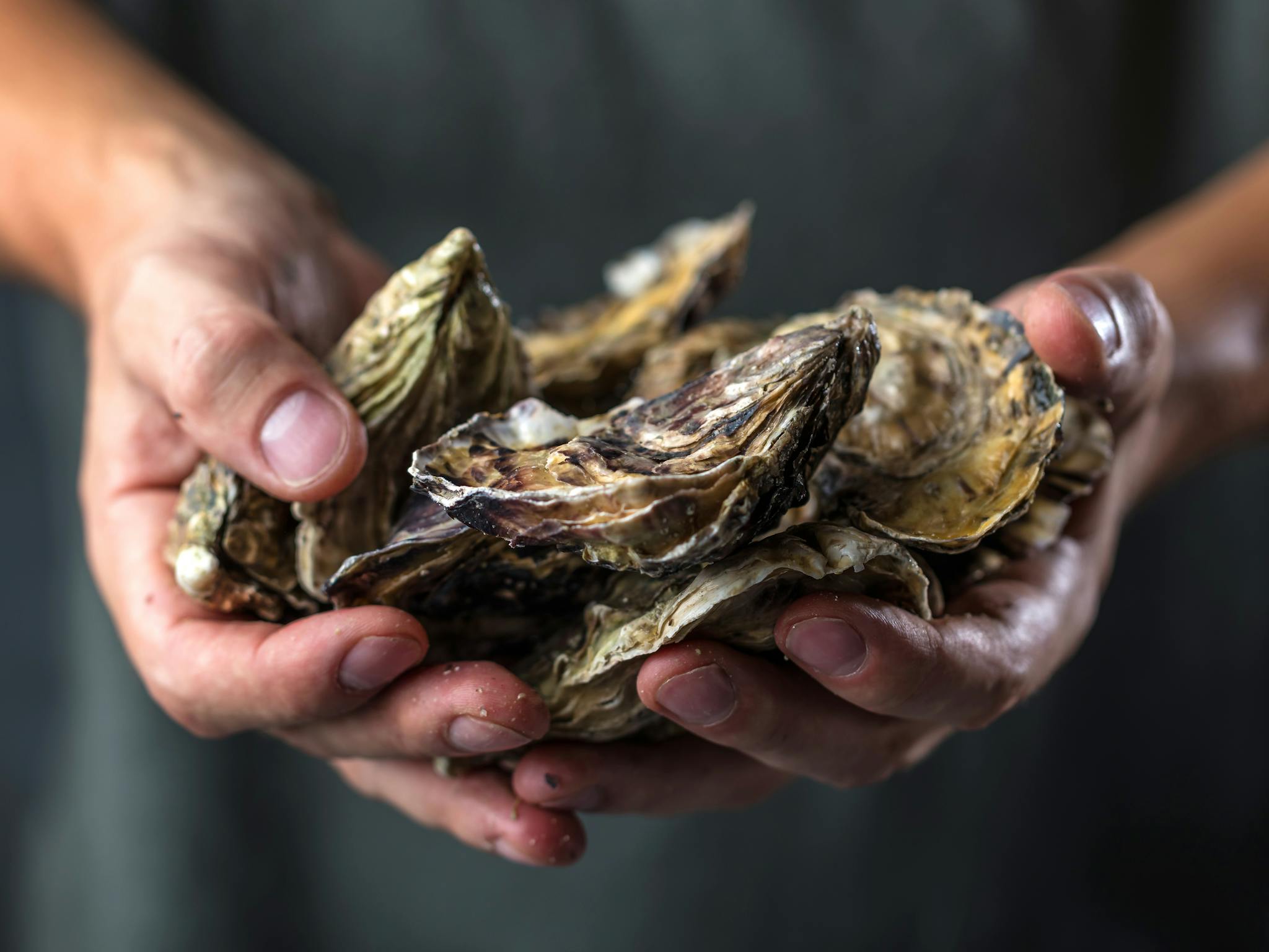 Riesling & Oyster Bar