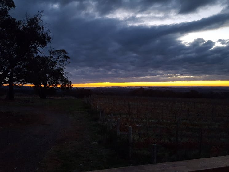 sunset at Cargo Road Wines