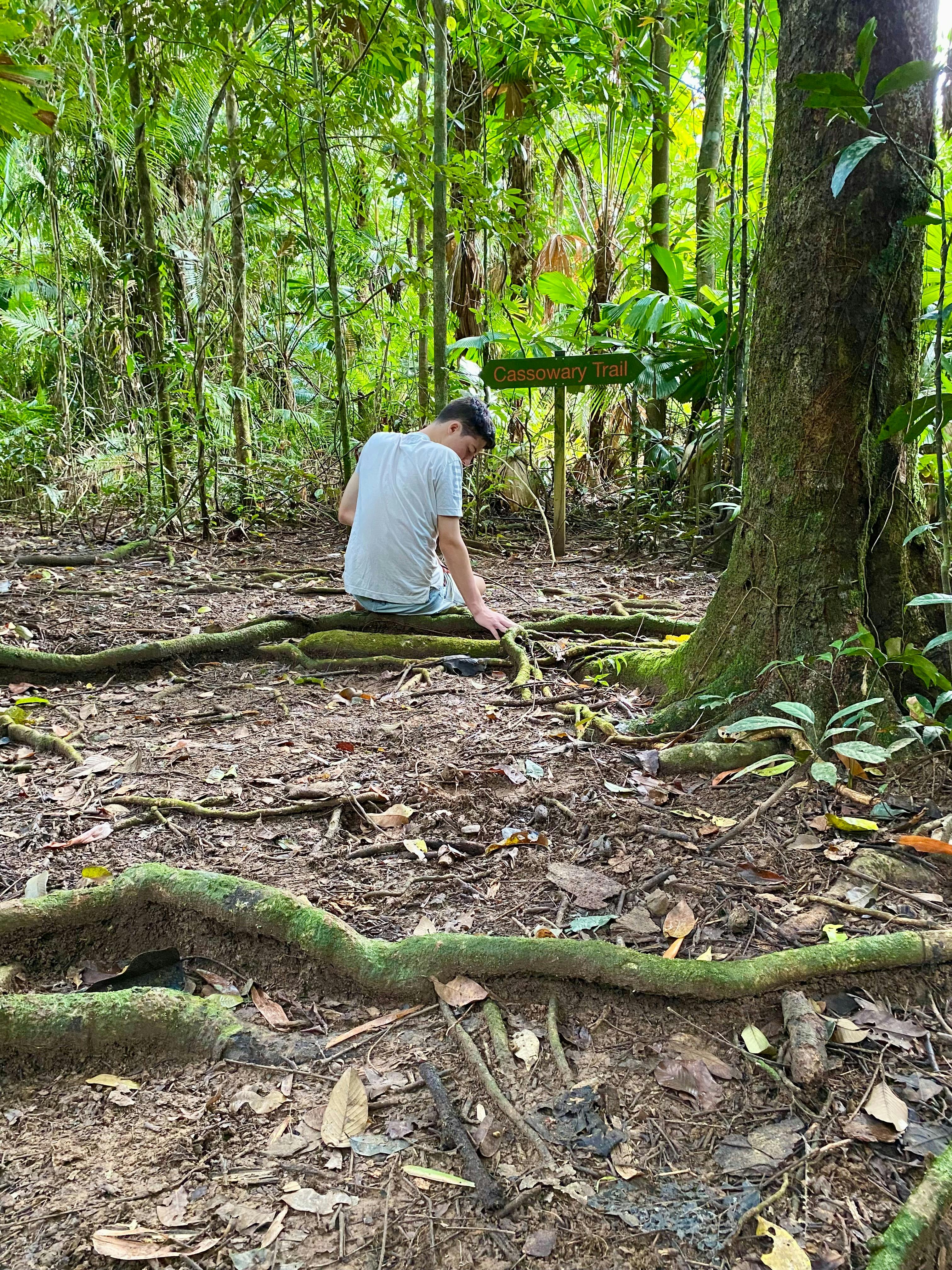 Rainforest Connections Walk