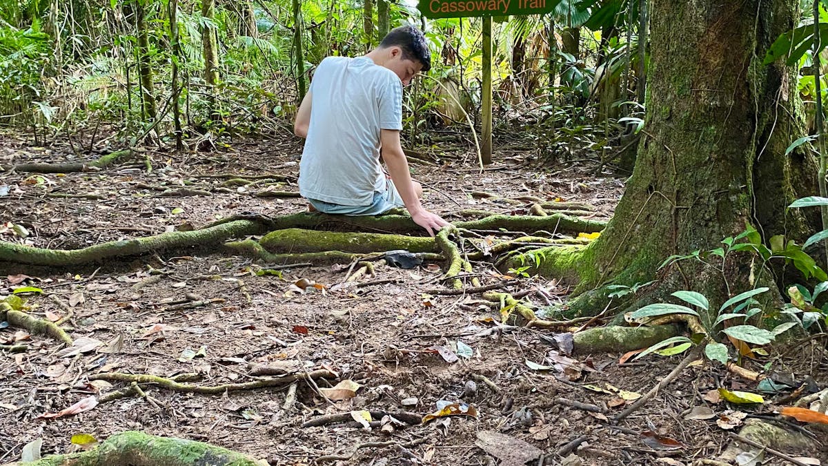 Teenage boy sitting on rainforest tree root during forest therapy walk invitation with trees