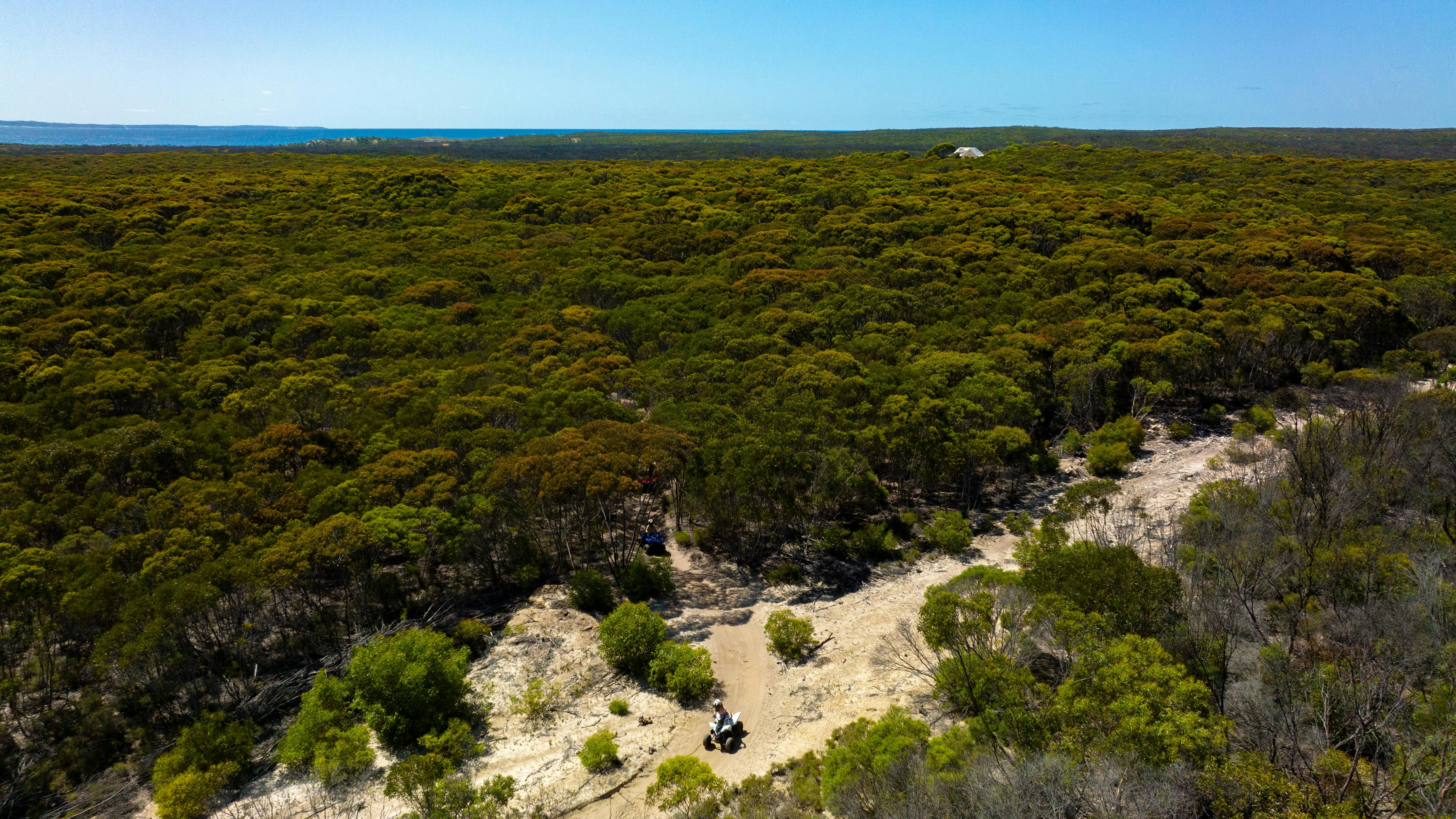 bushland
